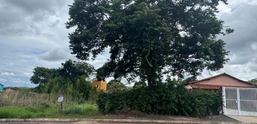 Lote 539,25m  – Novo Horizonte – Alto Paraíso de Goiás