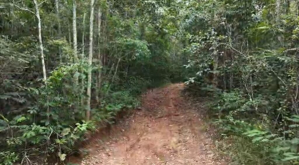 Chácara 8ha – Rio do Segredo – 12 km de São Jorge – Chapada dos Veadeiros
