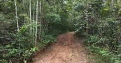Chácara 8ha – Rio do Segredo – 12 km de São Jorge – Chapada dos Veadeiros Chácara 8ha – Rio do Segredo – 12 km de São Jorge – Chapada dos Veadeiros