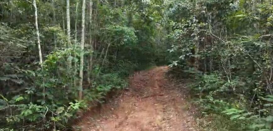 Chácara 8ha – Rio do Segredo – 12 km de São Jorge – Chapada dos Veadeiros