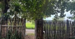 Vende Casa – Bem Localizada – Monte Sinai – Alto Paraíso de Goiás