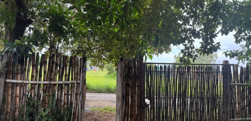 Vende Casa – Bem Localizada – Monte Sinai – Alto Paraíso de Goiás