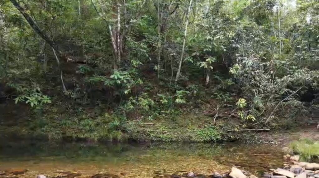 Chácara 8ha – Rio do Segredo – 12 km de São Jorge – Chapada dos Veadeiros