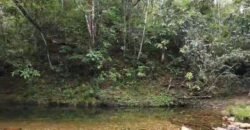 Chácara 8ha – Rio do Segredo – 12 km de São Jorge – Chapada dos Veadeiros Chácara 8ha – Rio do Segredo – 12 km de São Jorge – Chapada dos Veadeiros