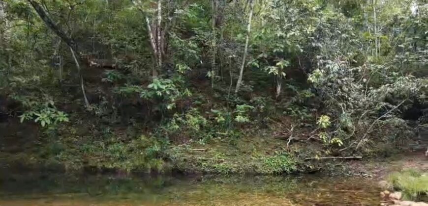 Chácara 8ha – Rio do Segredo – 12 km de São Jorge – Chapada dos Veadeiros