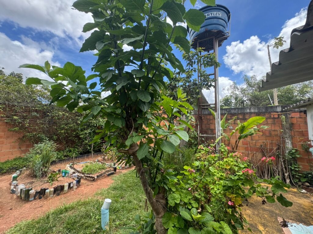 Casa Aconchegante – Cidade Alta – Alto Paraíso de Goiás
