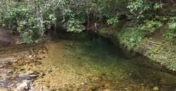 Chácara 8ha – Rio do Segredo – 12 km de São Jorge – Chapada dos Veadeiros Chácara 8ha – Rio do Segredo – 12 km de São Jorge – Chapada dos Veadeiros