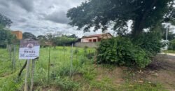 Lote 539,25m – Novo Horizonte – Alto Paraíso de Goiás Lote 539,25m – Novo Horizonte – Alto Paraíso de Goiás