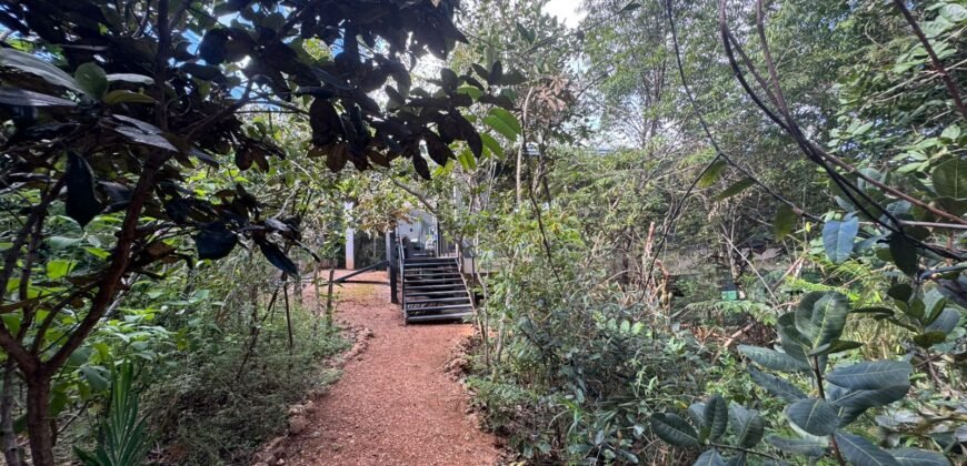 Vende-se Linda Casa – Bairro Eldorado – Alto Paraíso de Goiás