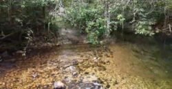 Chácara 8ha – Rio do Segredo – 12 km de São Jorge – Chapada dos Veadeiros Chácara 8ha – Rio do Segredo – 12 km de São Jorge – Chapada dos Veadeiros