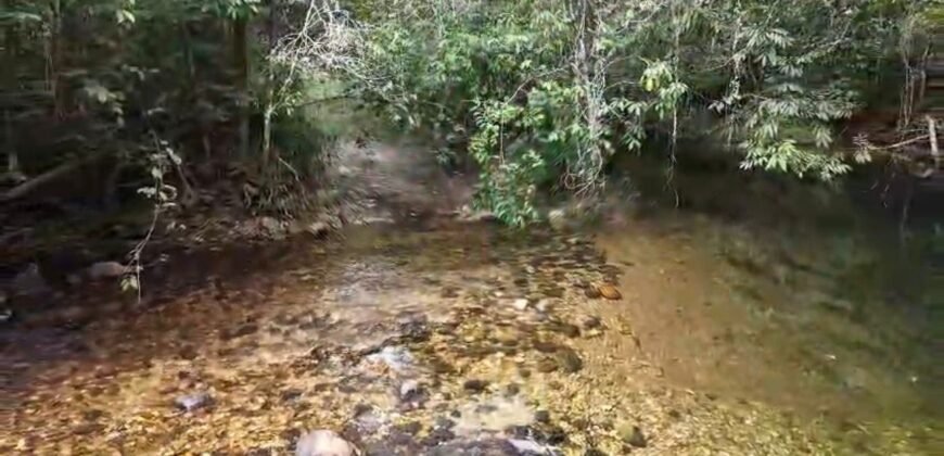 Chácara 8ha – Rio do Segredo – 12 km de São Jorge – Chapada dos Veadeiros