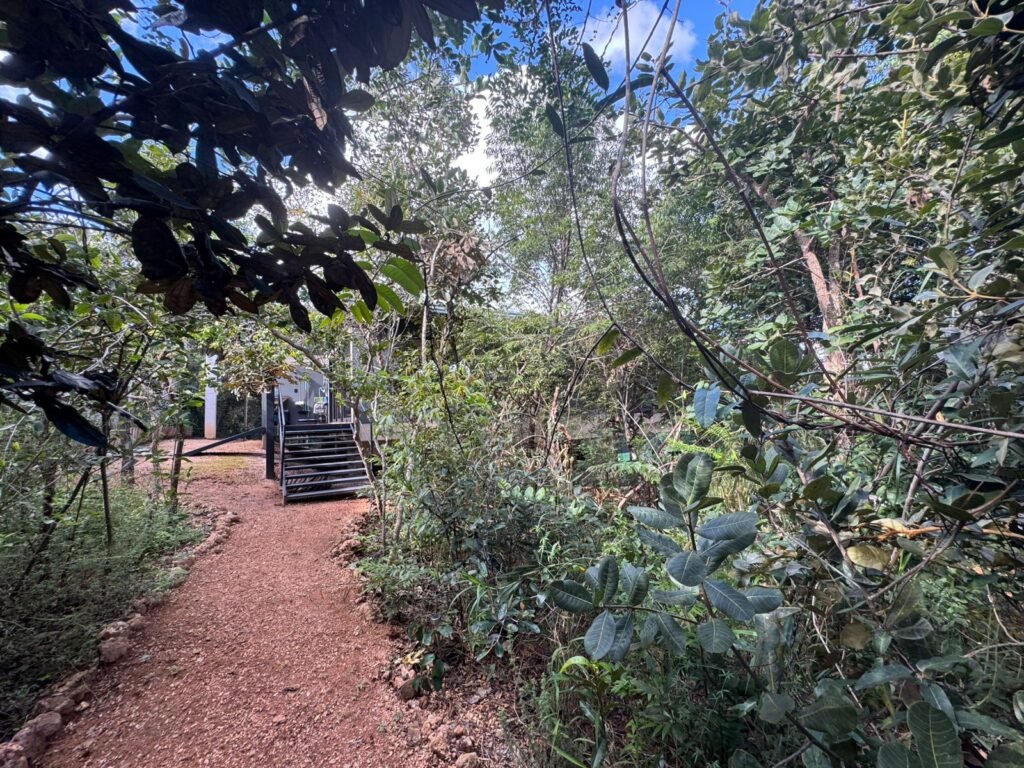 Vende-se Linda Casa – Bairro Eldorado – Alto Paraíso de Goiás