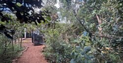 Vende-se Linda Casa – Bairro Eldorado – Alto Paraíso de Goiás