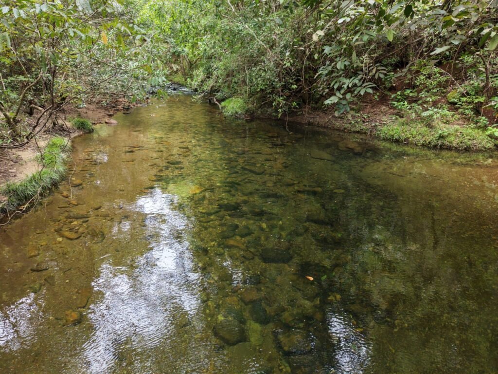 Chácara 8ha – Rio do Segredo – 12 km de São Jorge – Chapada dos Veadeiros