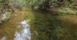 Chácara 8ha – Rio do Segredo – 12 km de São Jorge – Chapada dos Veadeiros Chácara 8ha – Rio do Segredo – 12 km de São Jorge – Chapada dos Veadeiros