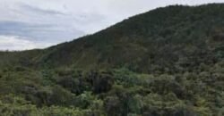 Chácara 8ha – Rio do Segredo – 12 km de São Jorge – Chapada dos Veadeiros Chácara 8ha – Rio do Segredo – 12 km de São Jorge – Chapada dos Veadeiros