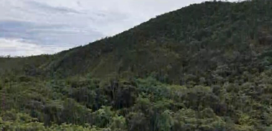 Chácara 8ha – Rio do Segredo – 12 km de São Jorge – Chapada dos Veadeiros