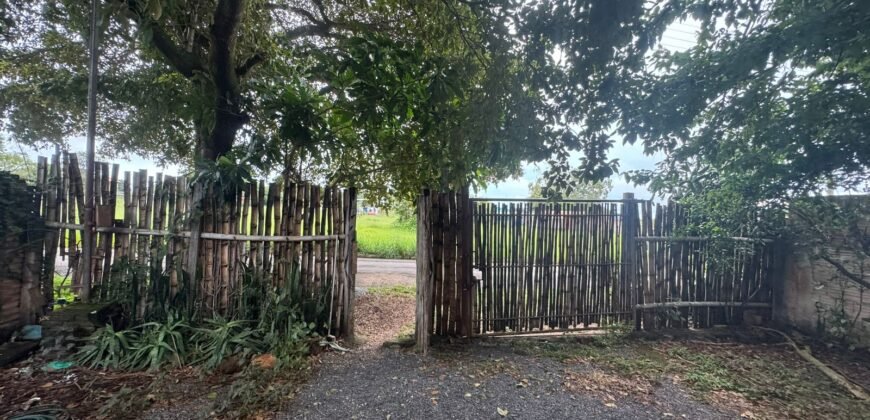 Vende Casa – Bem Localizada – Monte Sinai – Alto Paraíso de Goiás