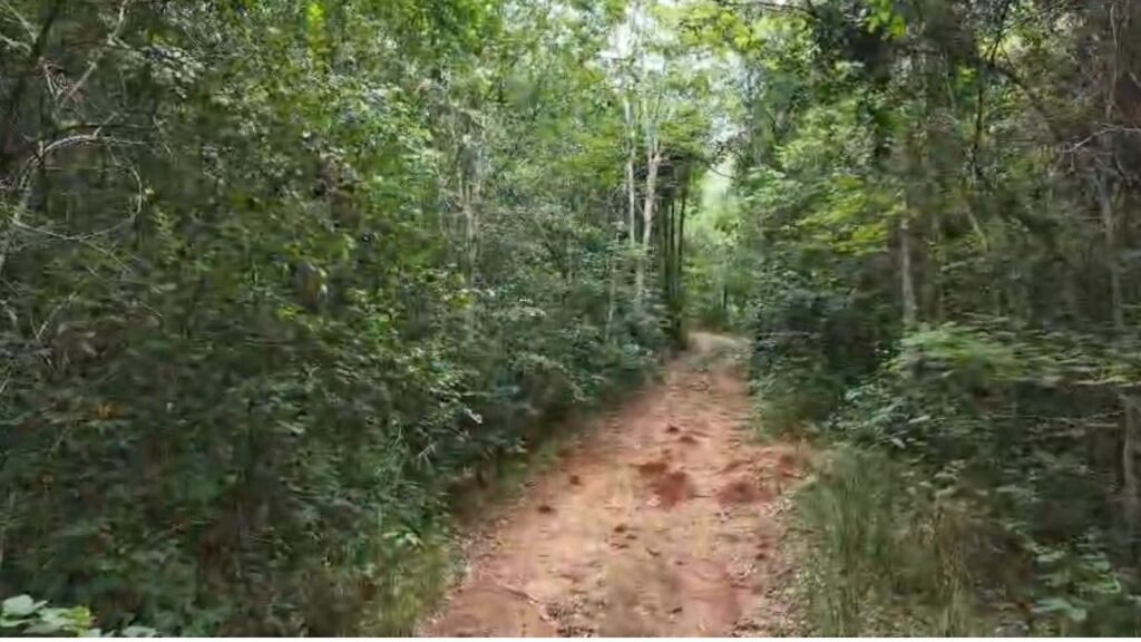 Chácara 8ha – Rio do Segredo – 12 km de São Jorge – Chapada dos Veadeiros
