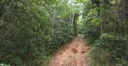 Chácara 8ha – Rio do Segredo – 12 km de São Jorge – Chapada dos Veadeiros Chácara 8ha – Rio do Segredo – 12 km de São Jorge – Chapada dos Veadeiros