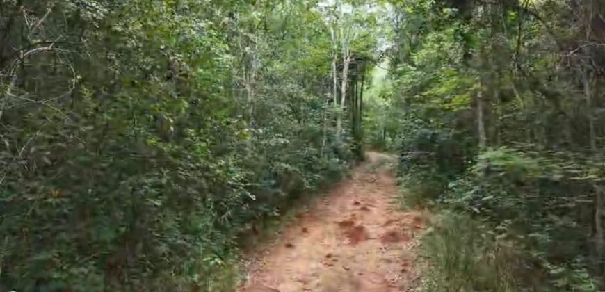 Chácara 8ha – Rio do Segredo – 12 km de São Jorge – Chapada dos Veadeiros