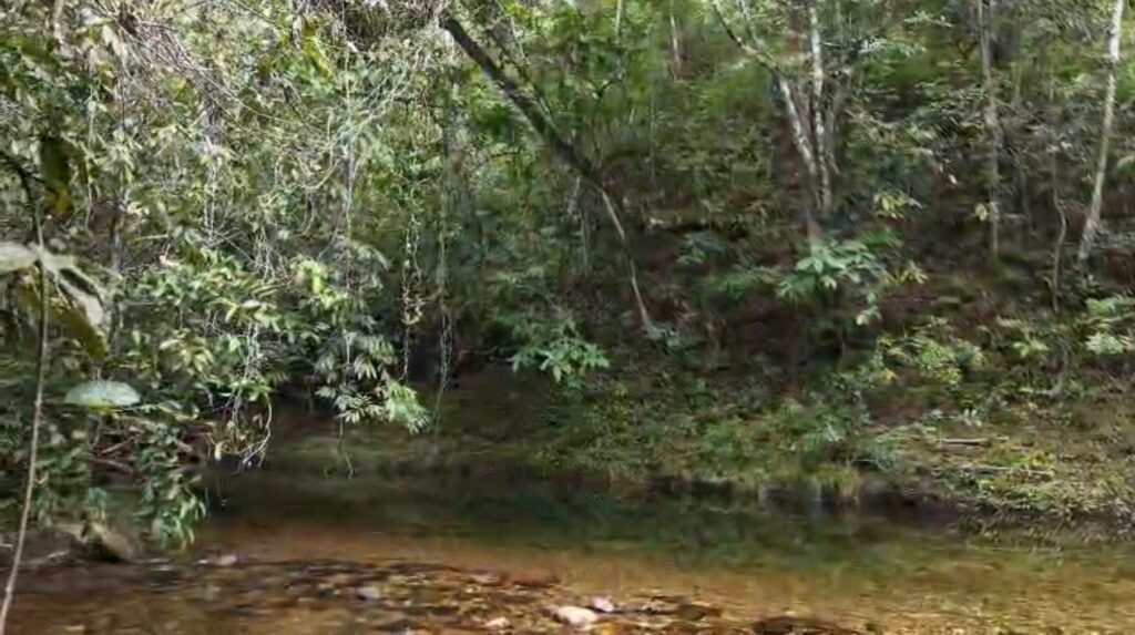 Chácara 8ha – Rio do Segredo – 12 km de São Jorge – Chapada dos Veadeiros