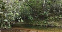Chácara 8ha – Rio do Segredo – 12 km de São Jorge – Chapada dos Veadeiros Chácara 8ha – Rio do Segredo – 12 km de São Jorge – Chapada dos Veadeiros