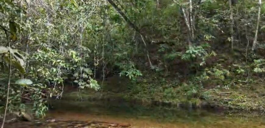 Chácara 8ha – Rio do Segredo – 12 km de São Jorge – Chapada dos Veadeiros