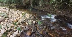 Chácara 8ha – Rio do Segredo – 12 km de São Jorge – Chapada dos Veadeiros Chácara 8ha – Rio do Segredo – 12 km de São Jorge – Chapada dos Veadeiros