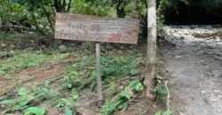 Chácara 8ha – Rio do Segredo – 12 km de São Jorge – Chapada dos Veadeiros Chácara 8ha – Rio do Segredo – 12 km de São Jorge – Chapada dos Veadeiros