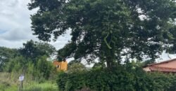 Lote 539,25m – Novo Horizonte – Alto Paraíso de Goiás Lote 539,25m – Novo Horizonte – Alto Paraíso de Goiás