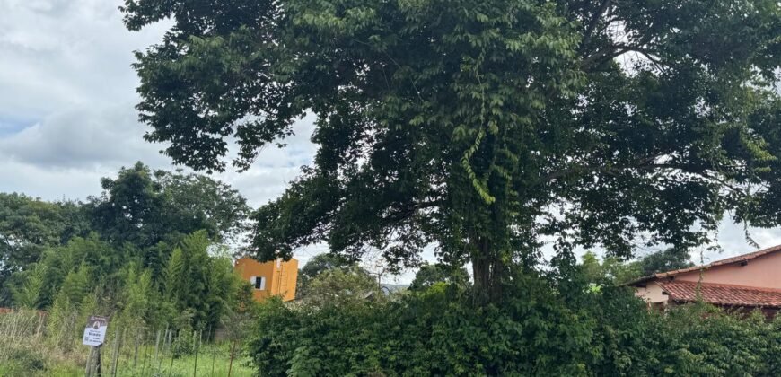 Lote 539,25m  – Novo Horizonte – Alto Paraíso de Goiás