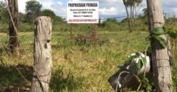 Lote 3.000m2 Cavalcante – Regularidado – Chapada dos Veadeiros Lote 3.000m2 Cavalcante – Regularidado – Chapada dos Veadeiros