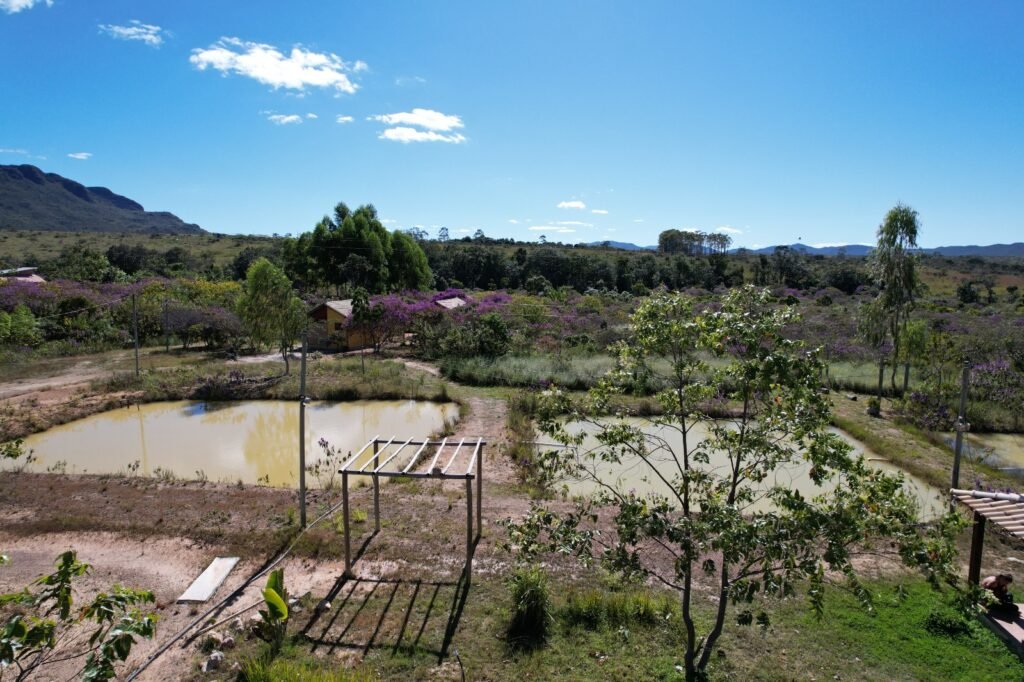 Chácara 4ha – 16km sentido São Jorge – Morro da Baleia -Chapada dos Veadeiros – 100% escriturado