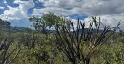 Linda Chácara 4 ha – Paraíso dos Pandavas, Alto Paraíso de Goiás