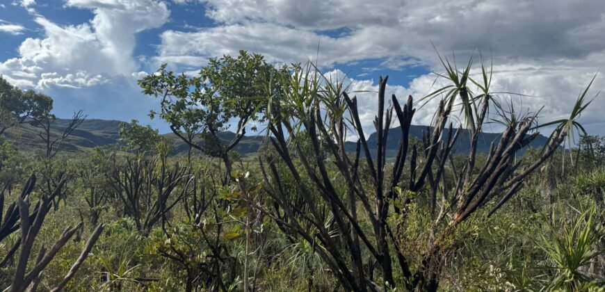 Linda Chácara 4 ha – Paraíso dos Pandavas, Alto Paraíso de Goiás