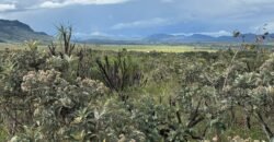 Linda Chácara 4 ha – Paraíso dos Pandavas, Alto Paraíso de Goiás