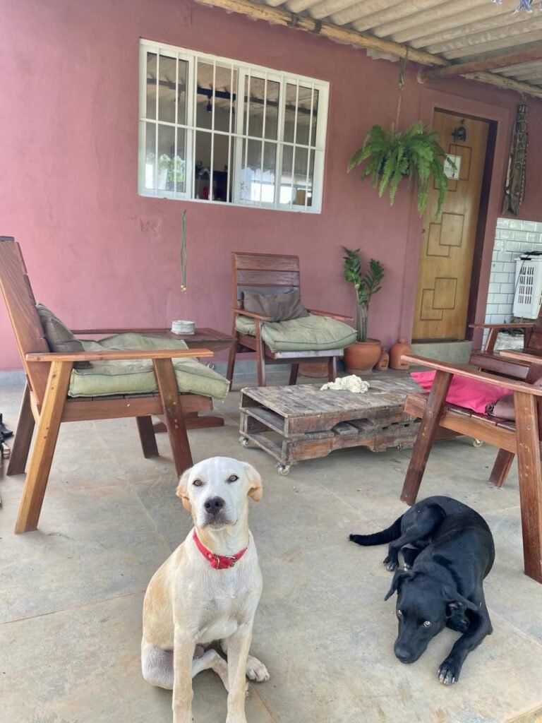 Vendo ou troco Chácara 5ha na Chapada, Alto paraíso (Couros) casa pronta | Oportunidade