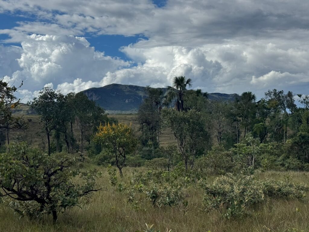 Linda Chácara 4 ha – Paraíso dos Pandavas, Alto Paraíso de Goiás
