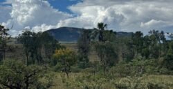 Linda Chácara 4 ha – Paraíso dos Pandavas, Alto Paraíso de Goiás