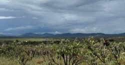 Linda Chácara 4 ha – Paraíso dos Pandavas, Alto Paraíso de Goiás