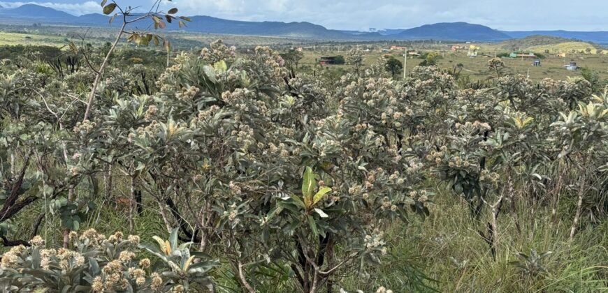 Linda Chácara 4 ha – Paraíso dos Pandavas, Alto Paraíso de Goiás