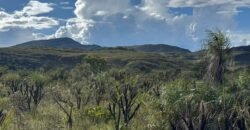 Linda Chácara 4 ha – Paraíso dos Pandavas, Alto Paraíso de Goiás