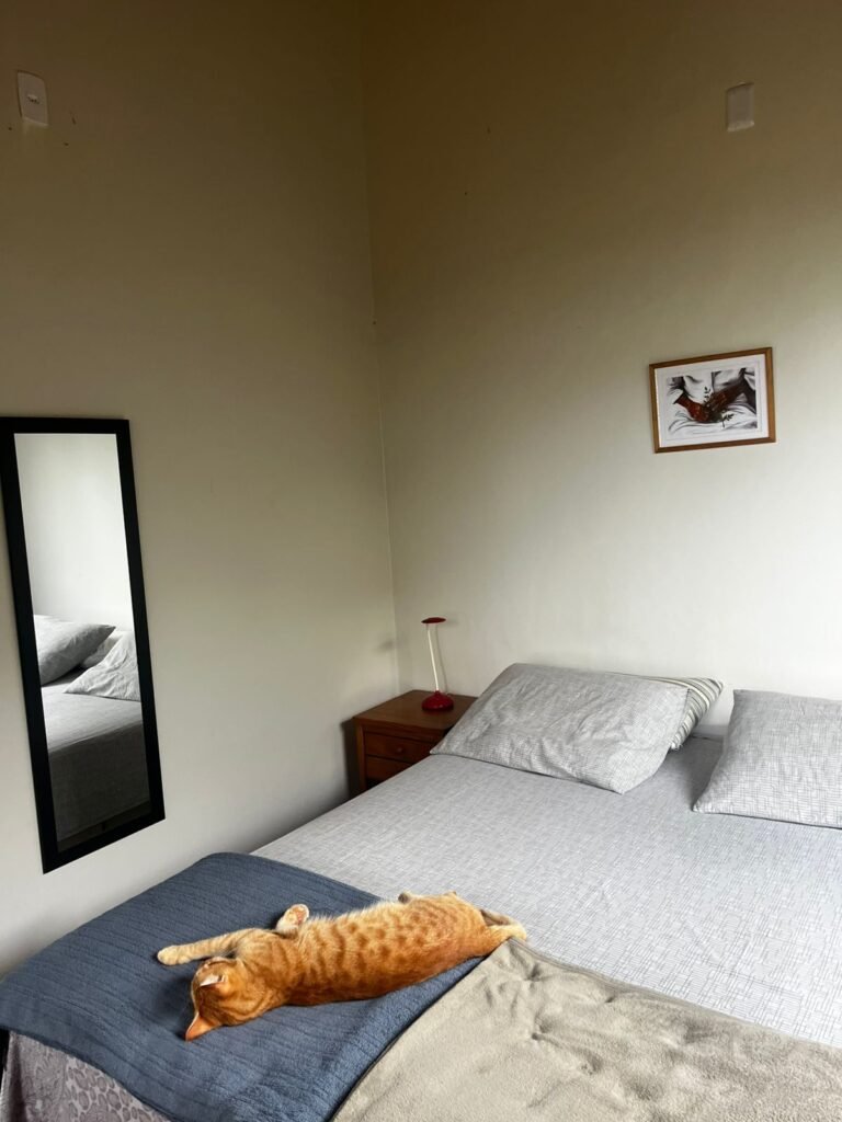 Chale + Lote 1.049m2 – Vista Permanete -Eldorado – Alto Paraíso de Goiás