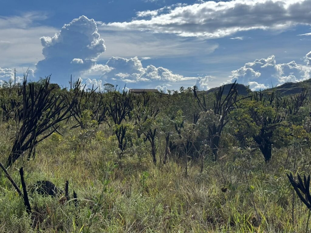 Linda Chácara 4 ha – Paraíso dos Pandavas, Alto Paraíso de Goiás