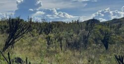 Linda Chácara 4 ha – Paraíso dos Pandavas, Alto Paraíso de Goiás