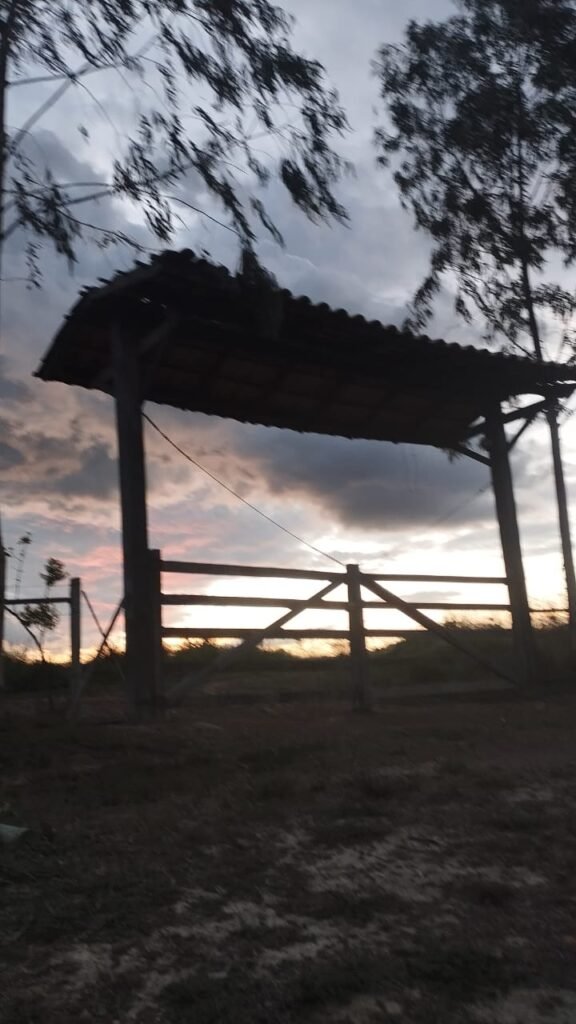 Chácara 4ha – 16km sentido São Jorge – Morro da Baleia -Chapada dos Veadeiros – 100% escriturado