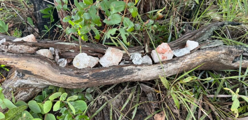 Linda Chácara 4 ha – Paraíso dos Pandavas, Alto Paraíso de Goiás