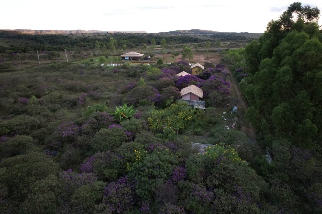 Chácara 4ha – 16km sentido São Jorge – Morro da Baleia -Chapada dos Veadeiros – 100% escriturado