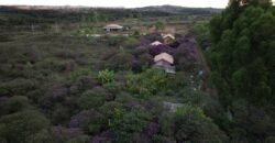 Chácara 4ha – 16km sentido São Jorge – Morro da Baleia -Chapada dos Veadeiros – 100% escriturado Chácara 4ha – 16km sentido São Jorge – Morro da Baleia -Chapada dos Veadeiros – 100% escriturado
